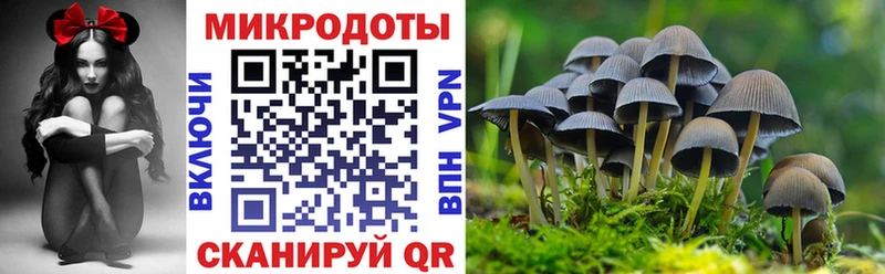 Псилоцибиновые грибы мухоморы  Евпатория 